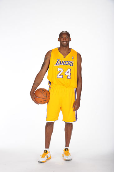 全险的单体 全险的单体